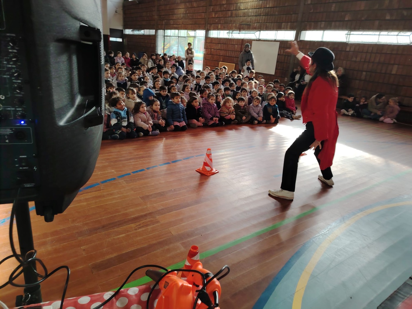 Show de circo